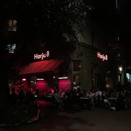 Finnish Design Penthouse In Trendy Neighborhood